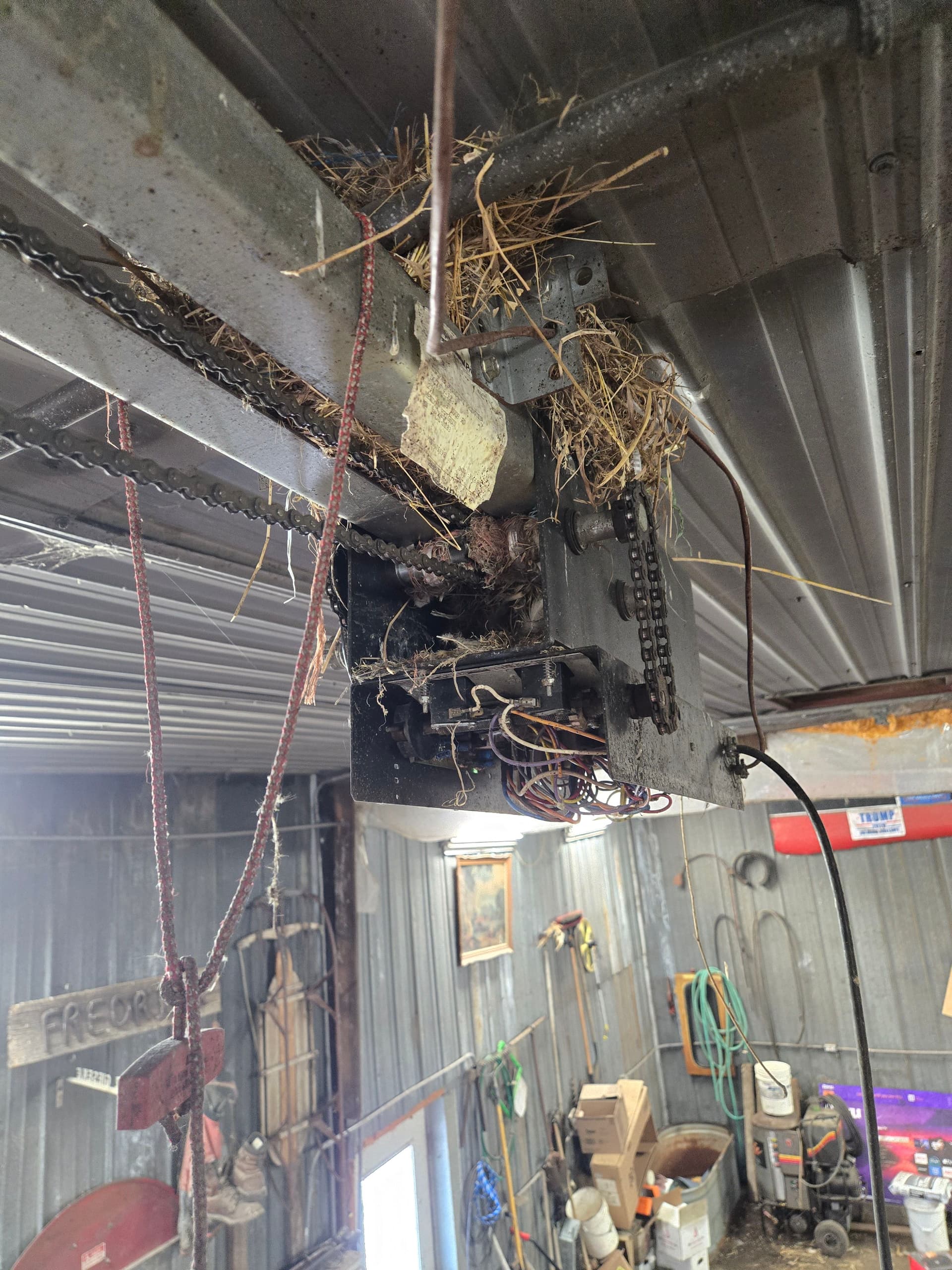 Garage Door Openers and Nature's Surprises image