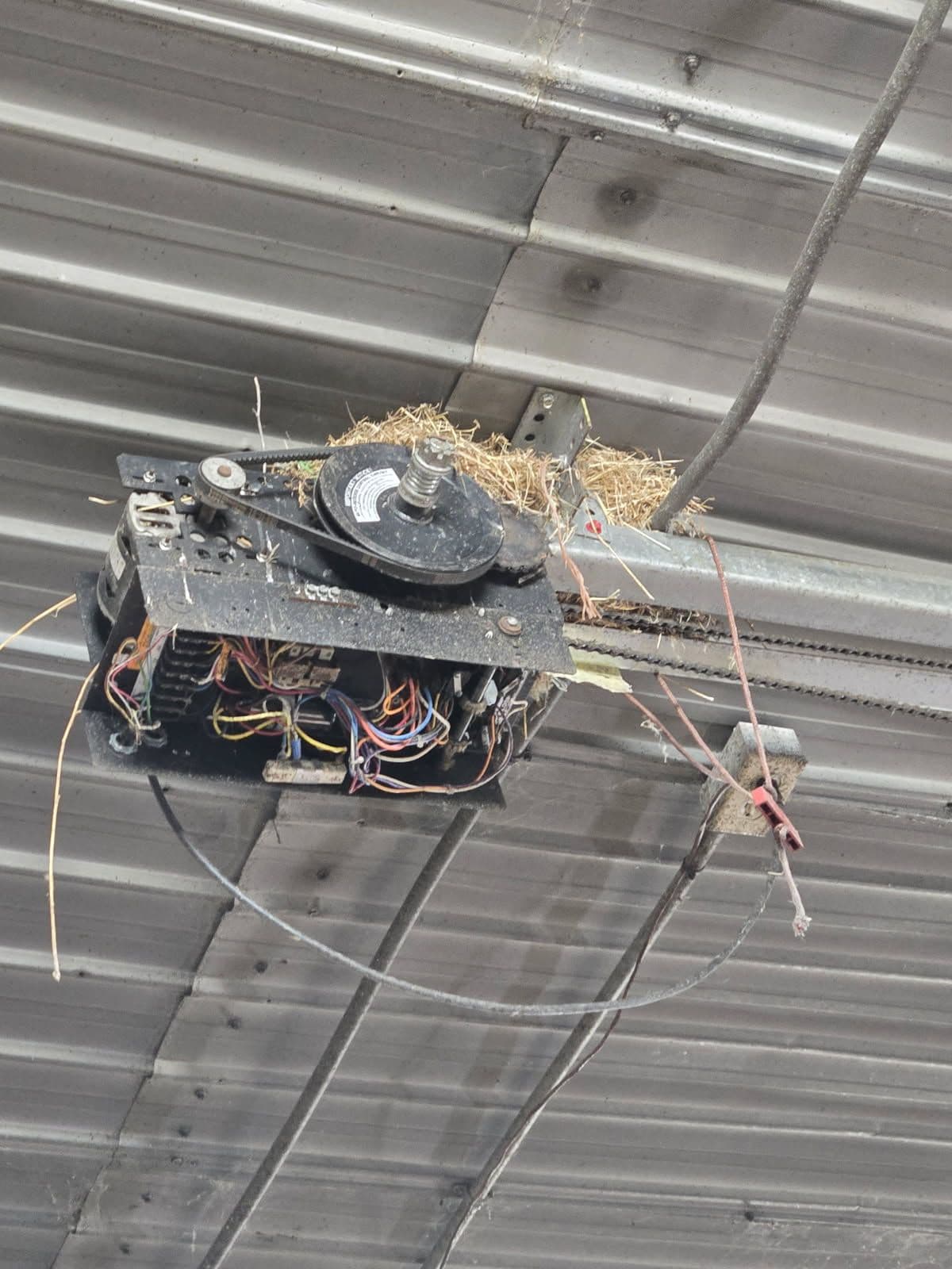 Upgrading Your Garage Opener to Prevent Bird Nest Problems image
